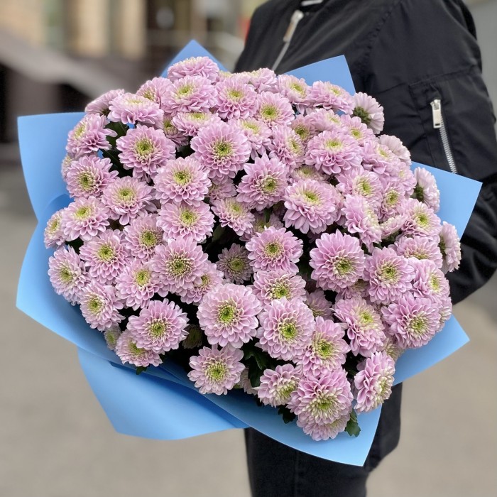 15 розовых кустовых хризантем Романс