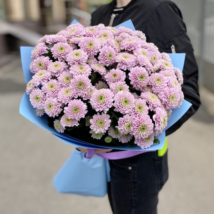 15 розовых кустовых хризантем Романс