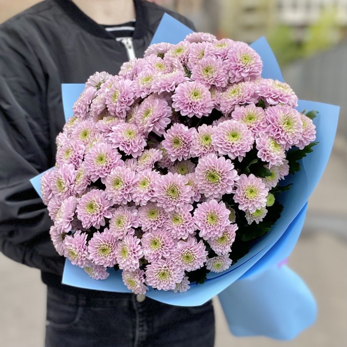 15 розовых кустовых хризантем Романс