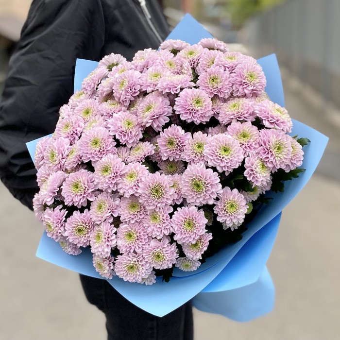 15 розовых кустовых хризантем Романс
