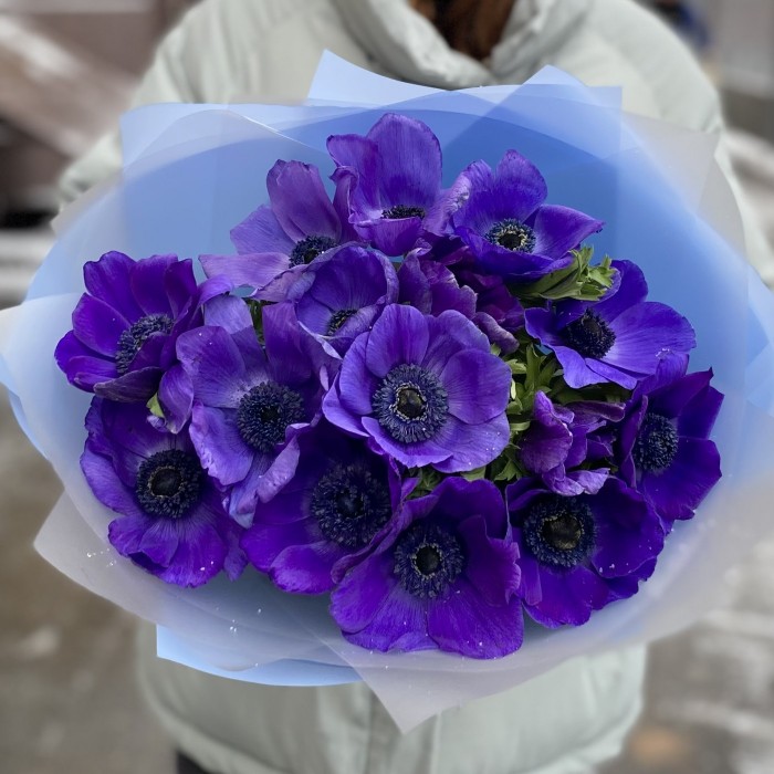 15 синих анемонов