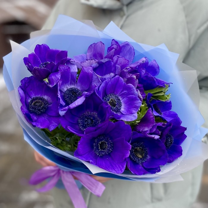 15 синих анемонов