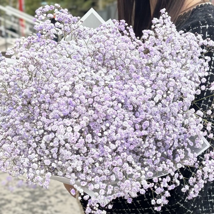 15 сиреневых гипсофил в упаковке