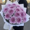15 сиреневых хризантем
