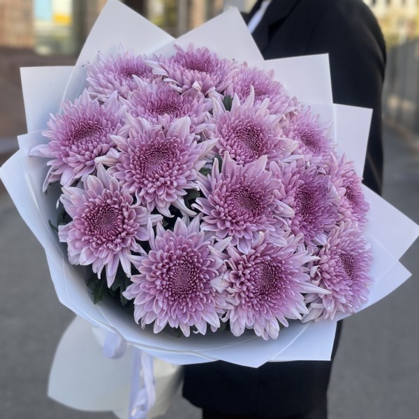 15 сиреневых хризантем