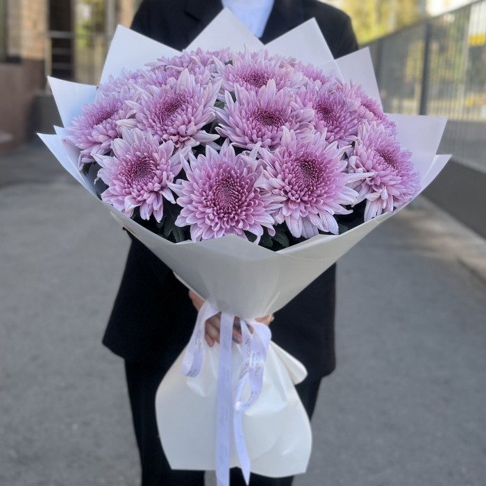 15 сиреневых хризантем