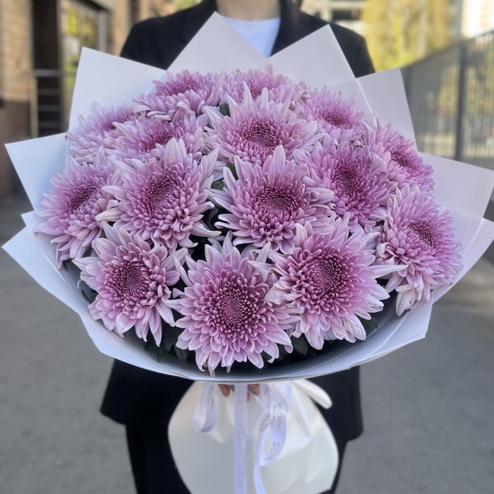 15 сиреневых хризантем
