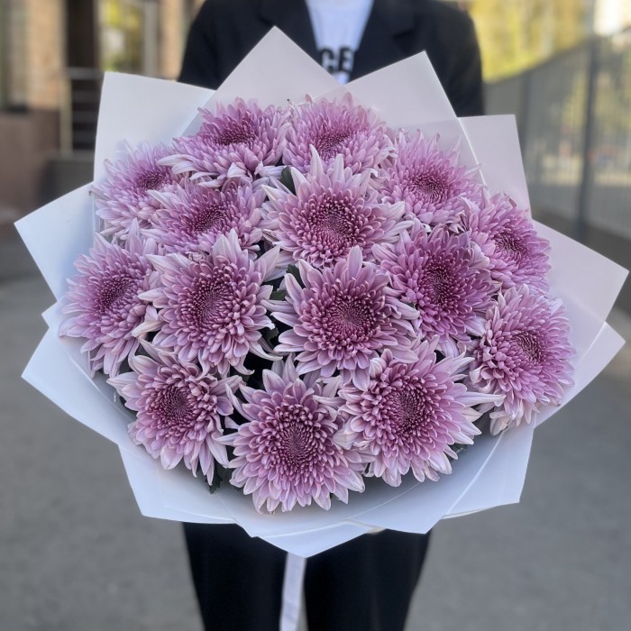 15 сиреневых хризантем