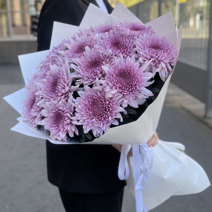 15 сиреневых хризантем