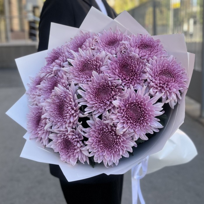 15 сиреневых хризантем