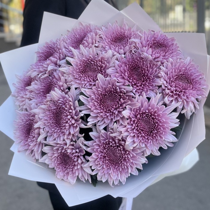 15 сиреневых хризантем