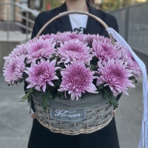 15 сиреневых хризантем в корзине