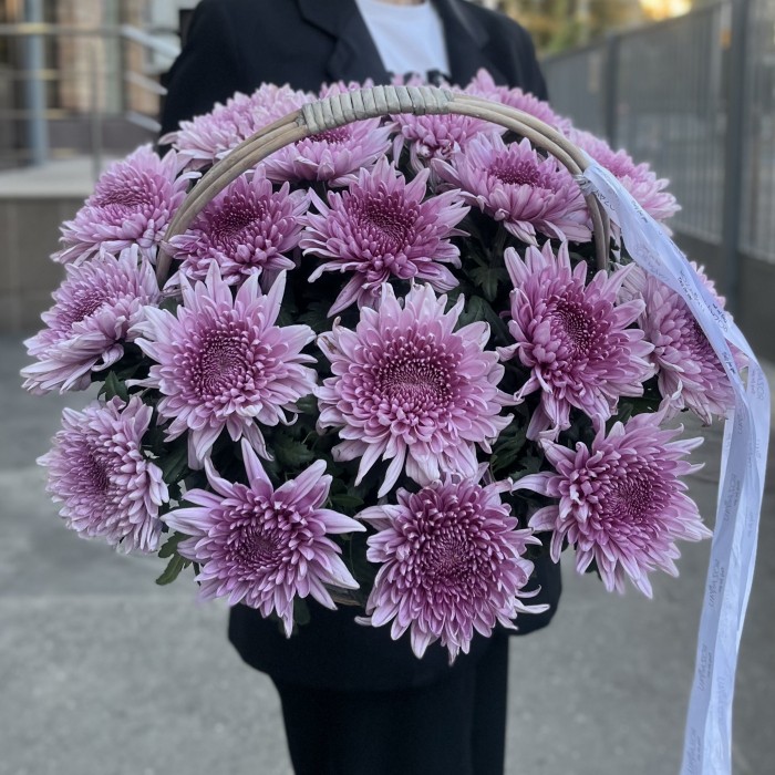 15 сиреневых хризантем в корзине