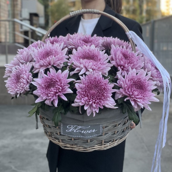 15 сиреневых хризантем в корзине