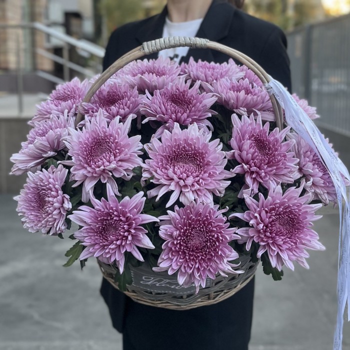 15 сиреневых хризантем в корзине