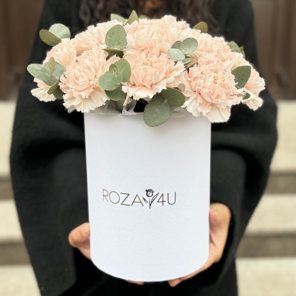 15 светло-розовых гвоздик с эвкалиптом в коробке