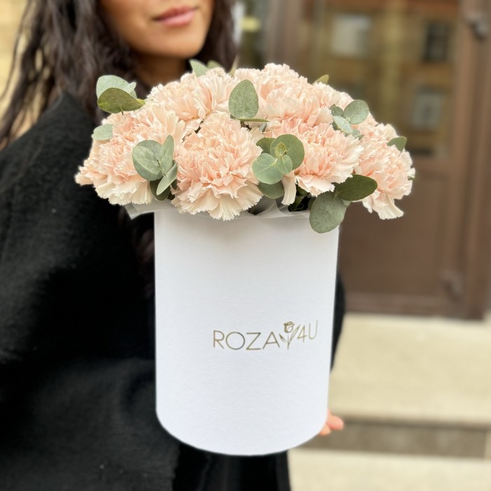 15 светло-розовых гвоздик с эвкалиптом в коробке