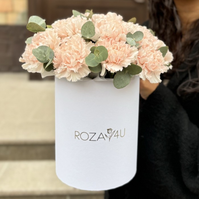 15 светло-розовых гвоздик с эвкалиптом в коробке