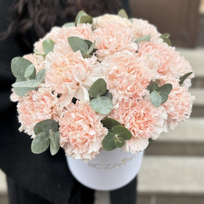 15 светло-розовых гвоздик с эвкалиптом в коробке