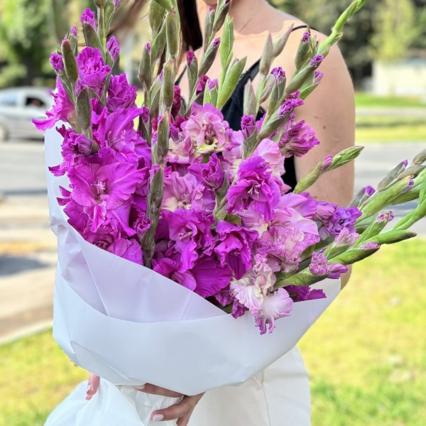 15 фиолетовых гладиолусов