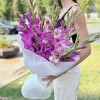 15 фиолетовых гладиолусов