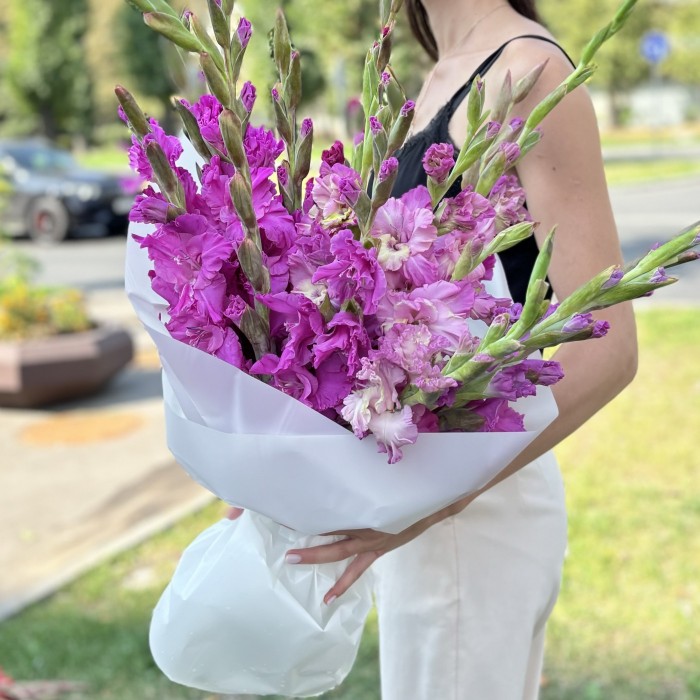 15 фиолетовых гладиолусов