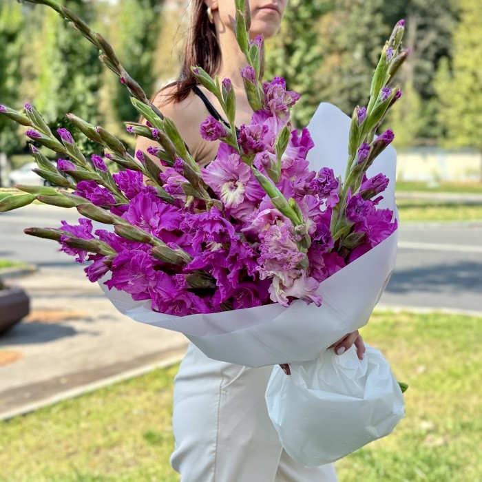 15 фиолетовых гладиолусов