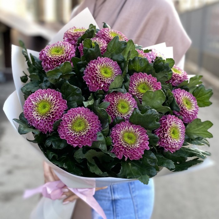 15 темно-розовых хризантем Сувенир