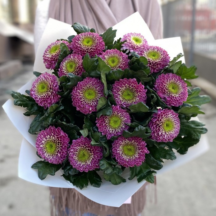 15 темно-розовых хризантем Сувенир