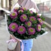 15 темно-розовых хризантем Сувенир