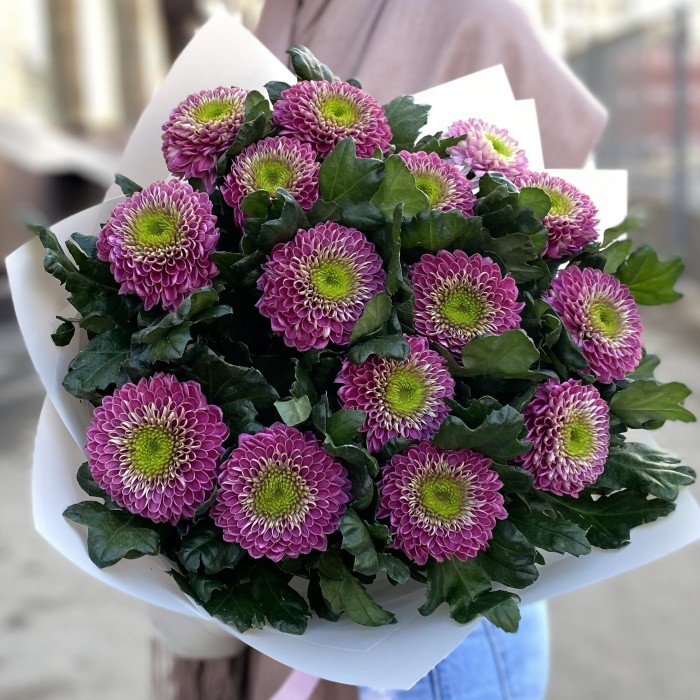 15 темно-розовых хризантем Сувенир