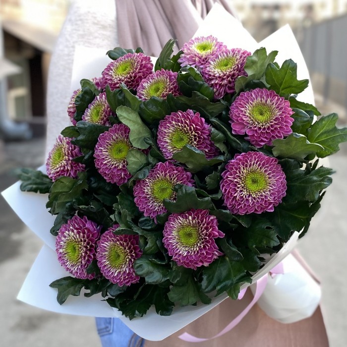 15 темно-розовых хризантем Сувенир
