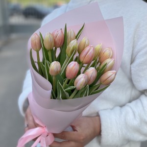 15 тюльпанов Марк Дизайн