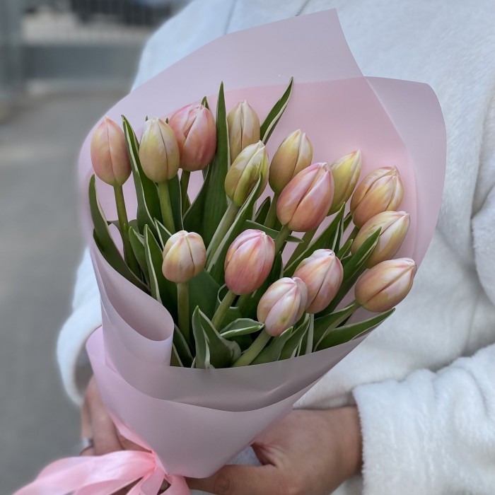 15 тюльпанов Марк Дизайн