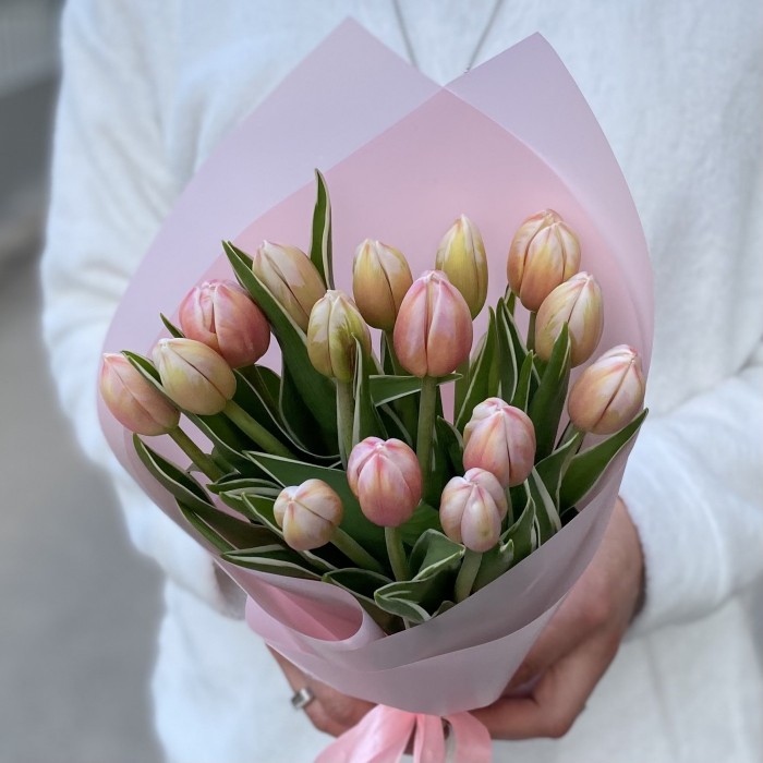 15 тюльпанов Марк Дизайн