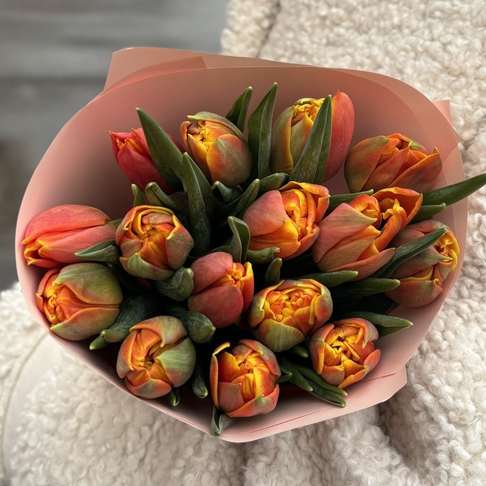 15 тюльпанов Эрмитаж даб в упаковке
