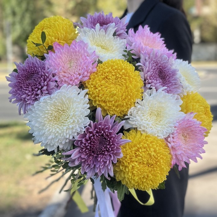15 ярких хризантем MIX