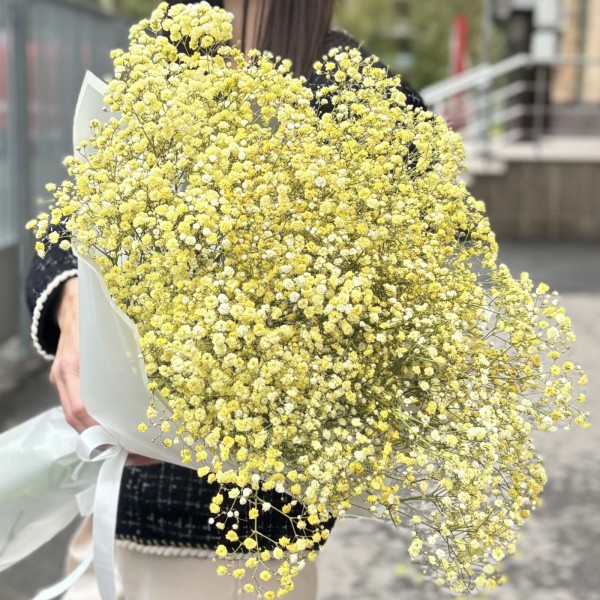 15 желтых гипсофил в упаковке