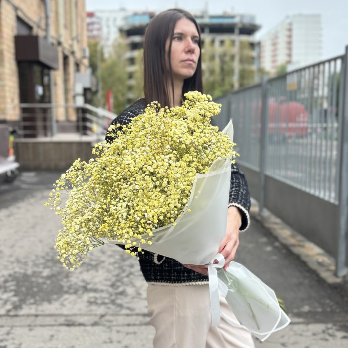 15 желтых гипсофил в упаковке