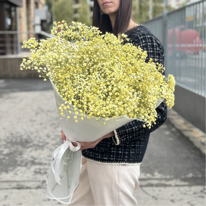 15 желтых гипсофил в упаковке