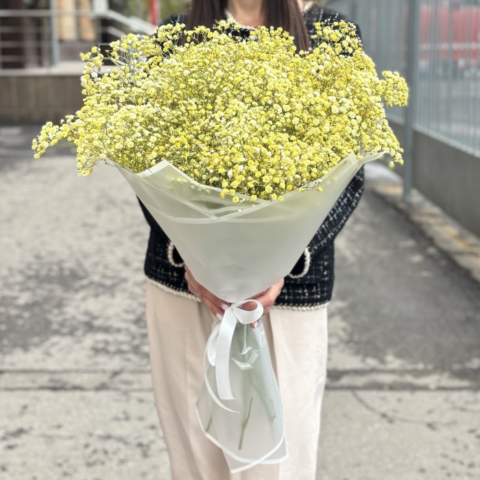 15 желтых гипсофил в упаковке