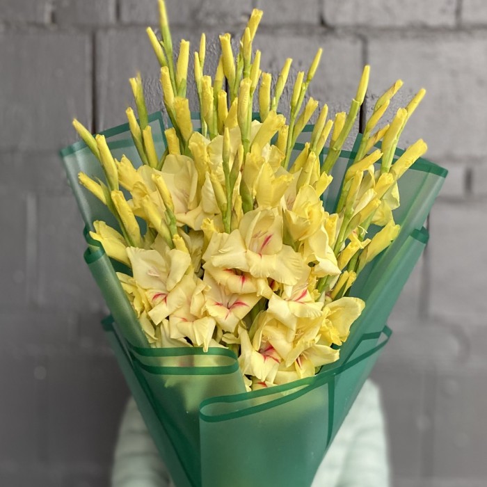 15 желтых гладиолусов