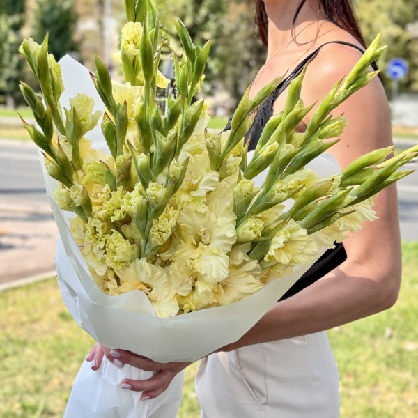 15 желтых гладиолусов в упаковке