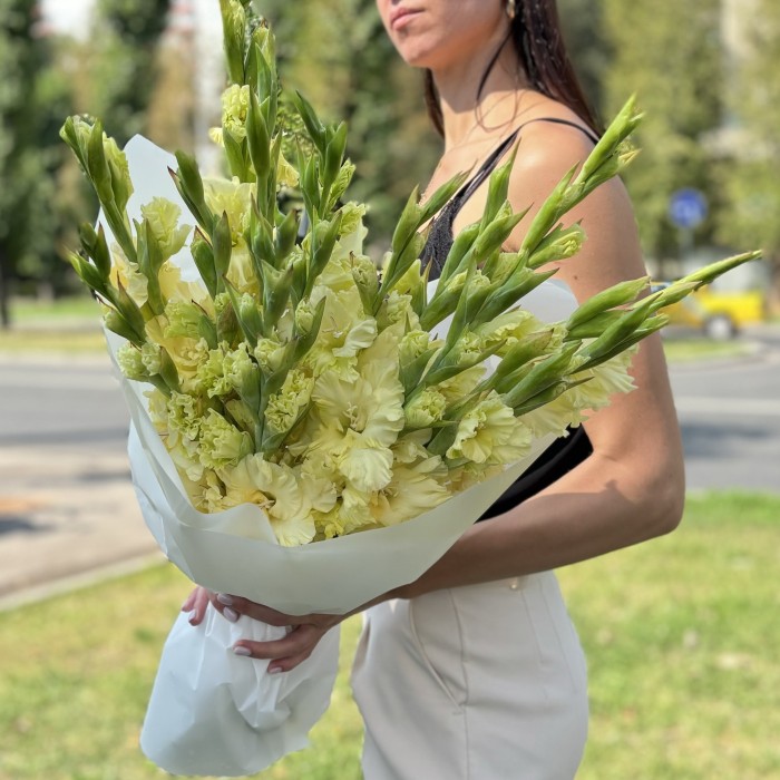 15 желтых гладиолусов в упаковке
