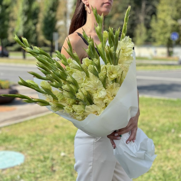 15 желтых гладиолусов в упаковке