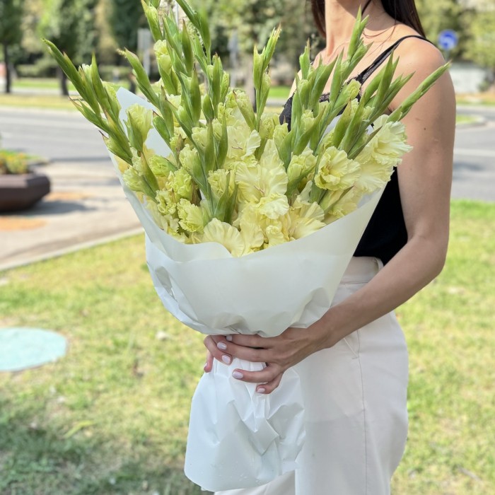 15 желтых гладиолусов в упаковке