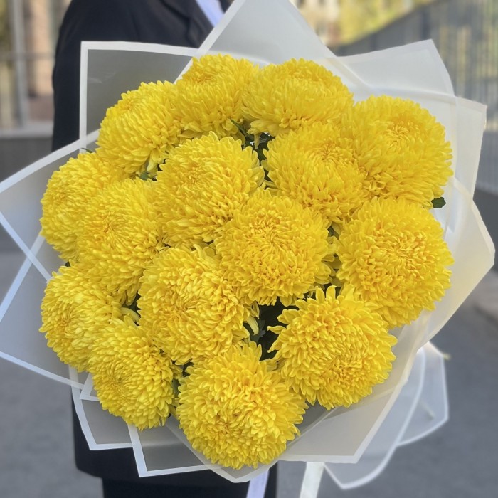 15 желтых хризантем