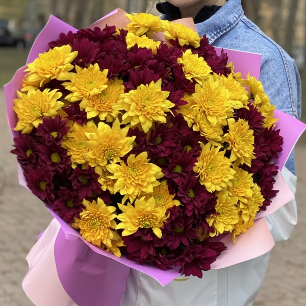 15 желтых и фиолетовых кустовых хризантем
