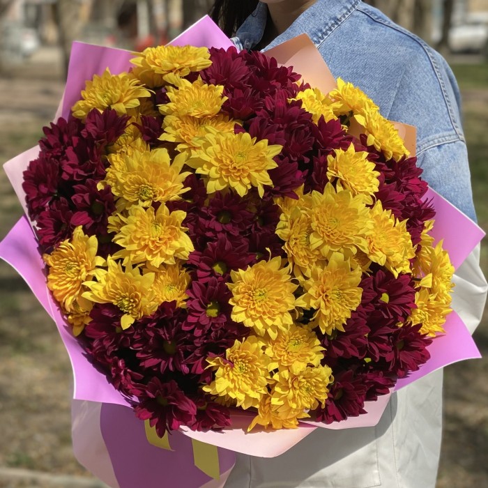 15 желтых и фиолетовых кустовых хризантем
