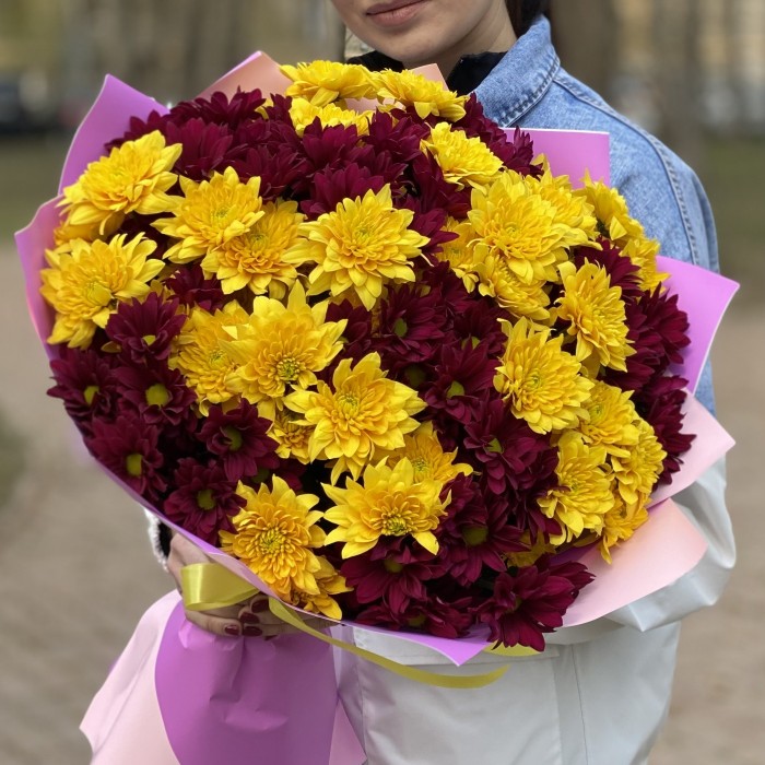 15 желтых и фиолетовых кустовых хризантем